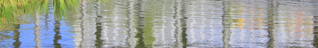 lake at Myriad Botanical Gardens, Oklahoma City (c2014, KB)